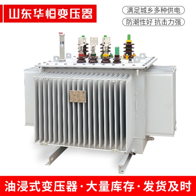 S13-10000/35张北张北张北电力变压器